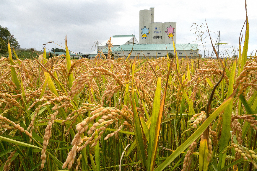 【新米予約】令和６年産 特Aランク米 ゆめぴりか 精米 5kg（5kg×1袋）雪冷気 籾貯蔵 北海道 雪中米