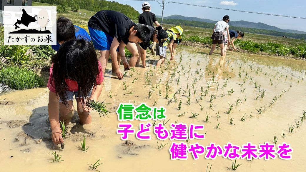 A282　【 令和6年産 】 ななつぼし （ 精 白米 ） 北海道 米 定番の品種 10㎏×2袋 20㎏  北海道 鷹栖町 たかすのお米 米 コメ こめ ご飯 白米 お米 ななつぼし コメ 白米