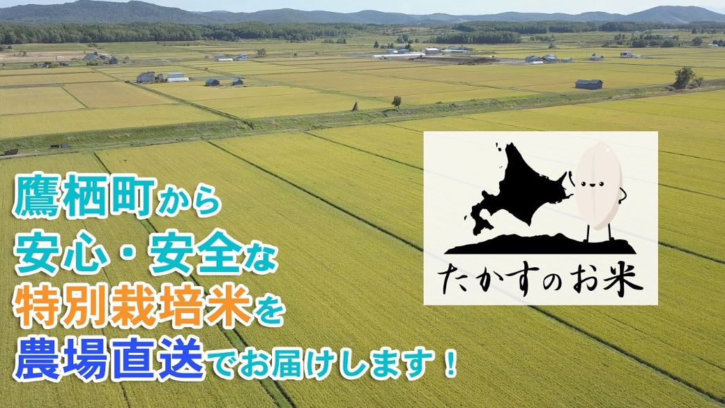 A279 　【 令和6年産 】 ななつぼし （ 無洗米 ） 北海道 米 定番の品種  5kg 北海道 鷹栖町 たかすのお米 米 コメ こめ ご飯 無洗米 お米 ななつぼし コメ  無洗米