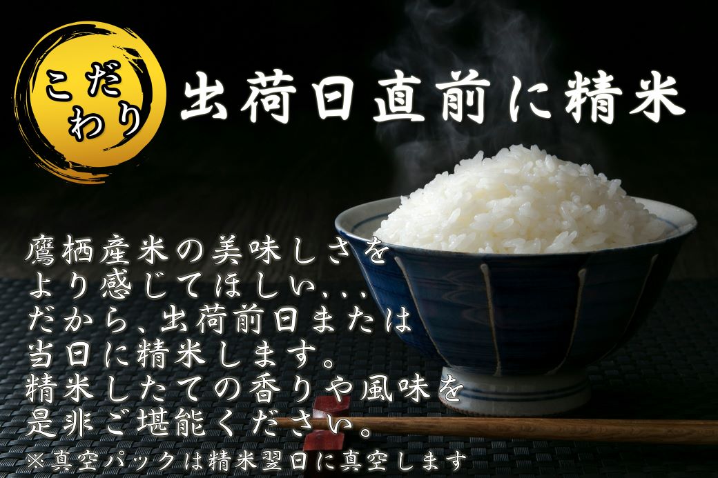 A288 　【 令和6年産 】 ななつぼし （ 精 白米 ）北海道 米 定番の品種 真空パック 5kg×4袋 20㎏ 北海道 鷹栖町 たかすのお米 米 コメ こめ ご飯 白米 お米 ななつぼし コメ 白米