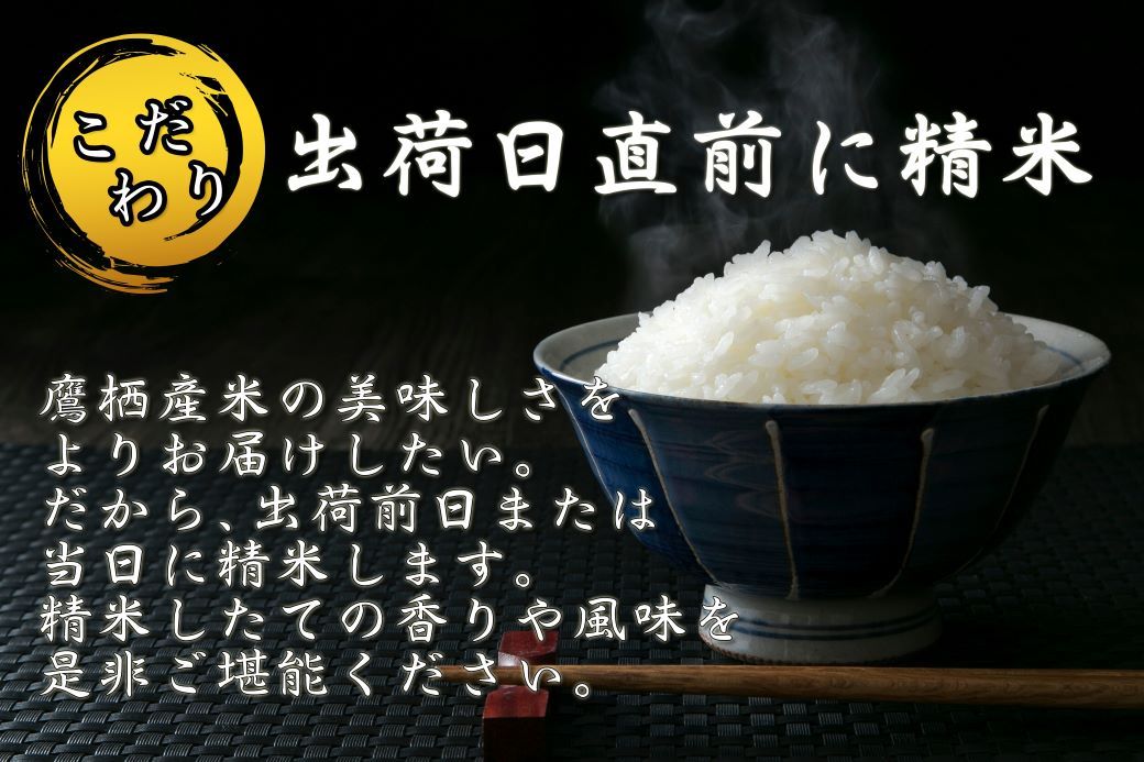 F018　【令和6年産 毎月定期便】北海道を代表する人気の品種 特別栽培米「ゆめぴりか」（無洗米・10kg×6回）