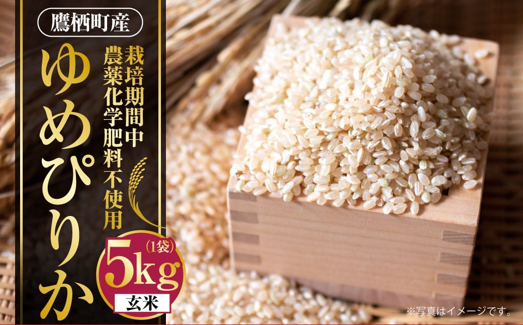 A241 【令和7年産】 ゆめぴりか （ 玄米 ） 栽培期間中農薬化学肥料不使用 5kg たかすタロファーム 北海道 鷹栖町 米 コメ こめ ご飯 お米