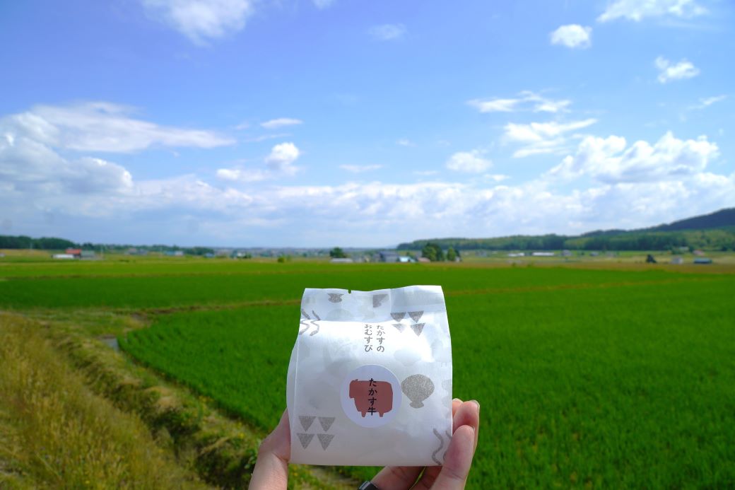 A251　冷凍玄米海苔巻きおむすび(12個入） 北海道 鷹栖町 たかすのおむすび ゆめぴりか 玄米 おむすび 冷凍