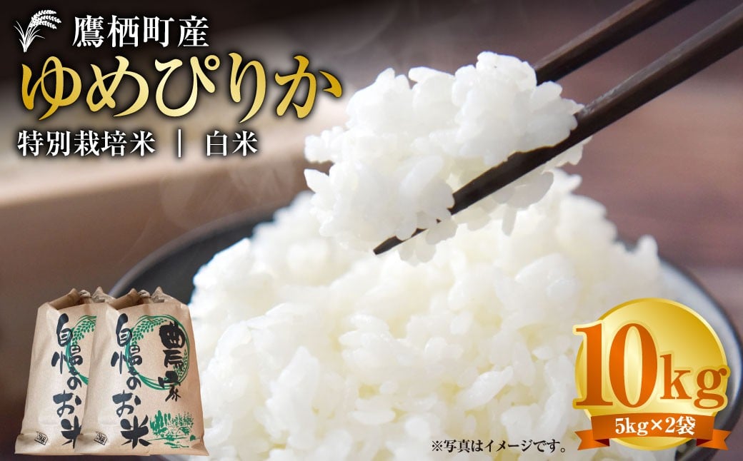 【令和7年産】 ゆめぴりか （白米） 5kg×2袋 北海道 鷹栖町 たかすタロファーム 米 コメ こめ ご飯 白米 お米 ゆめぴりか コメ 白米