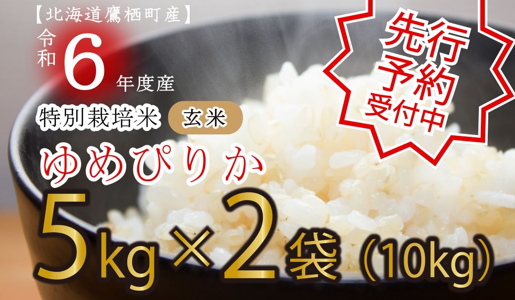 A197　【先行予約】令和６年産たかすタロファームゆめぴりか（ゆめぴりか玄米・5kg×２袋）