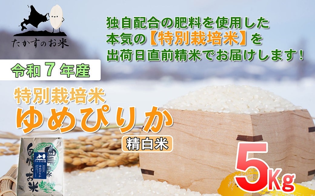 【令和7年産】 ゆめぴりか (精白米) 北海道 米 を代表する人気の品種 5kg 北海道 鷹栖町 たかすのお米 米 コメ こめ ご飯