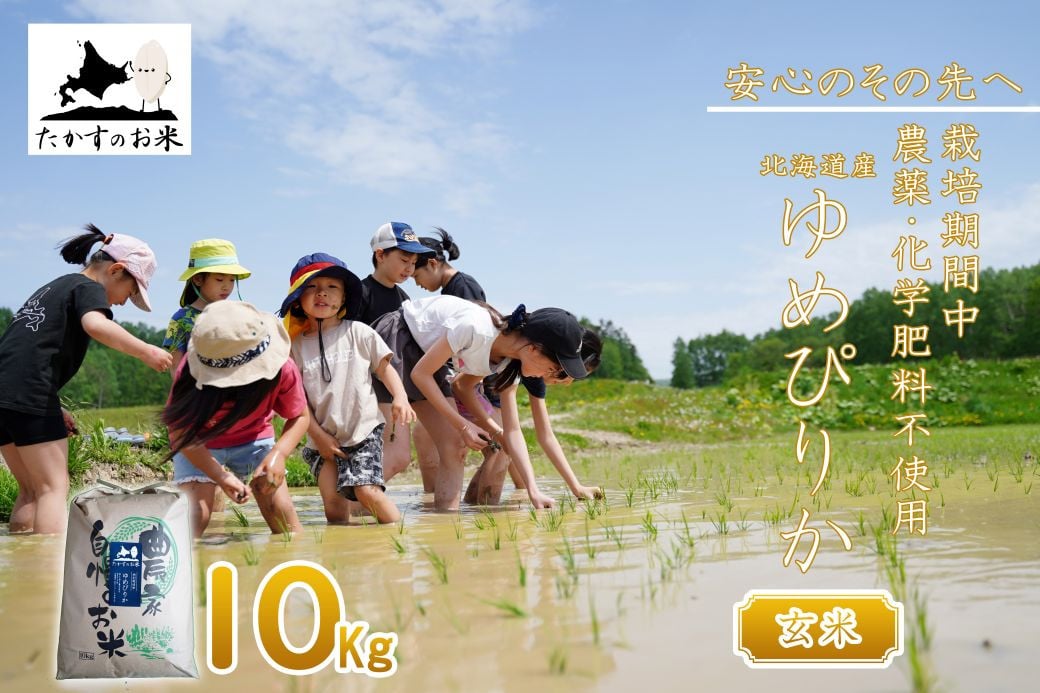 【 令和7年産 】 栽培期間中農薬不使用 ゆめぴりか （ 玄米 ） 10kg 北海道 鷹栖町 たかすのお米 コメ こめ ご飯