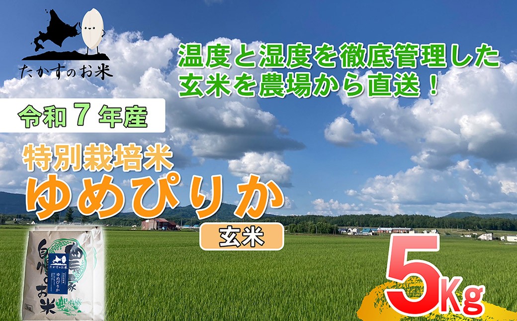 【令和7年産】 ゆめぴりか (玄米)  5kg 北海道 鷹栖町 たかすのお米 米 コメ こめ ご飯