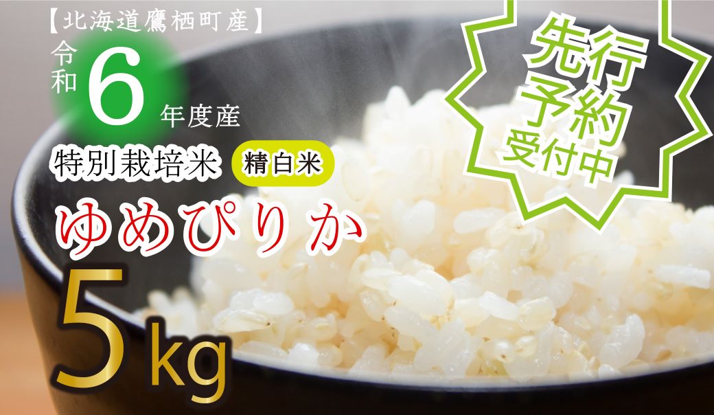 A115 　先行予約 【 令和6年産 】 ゆめぴりか （ 白米 ） 特Aランク  5㎏ 北海道 鷹栖町 たかすタロファーム 米 コメ こめ ご飯 白米 お米 ゆめぴりか コメ白米 白米 白米 白米 白米 白米 白米 白米 白米 白米 白米 白米 白米 白米 白米 白米 白米 白米 白米 白米 白米 白米 白米 白米 白米 白米 白米 白米 白米 白米 白米 白米 白米 白米 白米 白米 白米 白米 白米 白米 白米 白米 白米 白米 白米 白米 白米 白米 白米 白米 白米 白米 白米 白米 白米 白米 