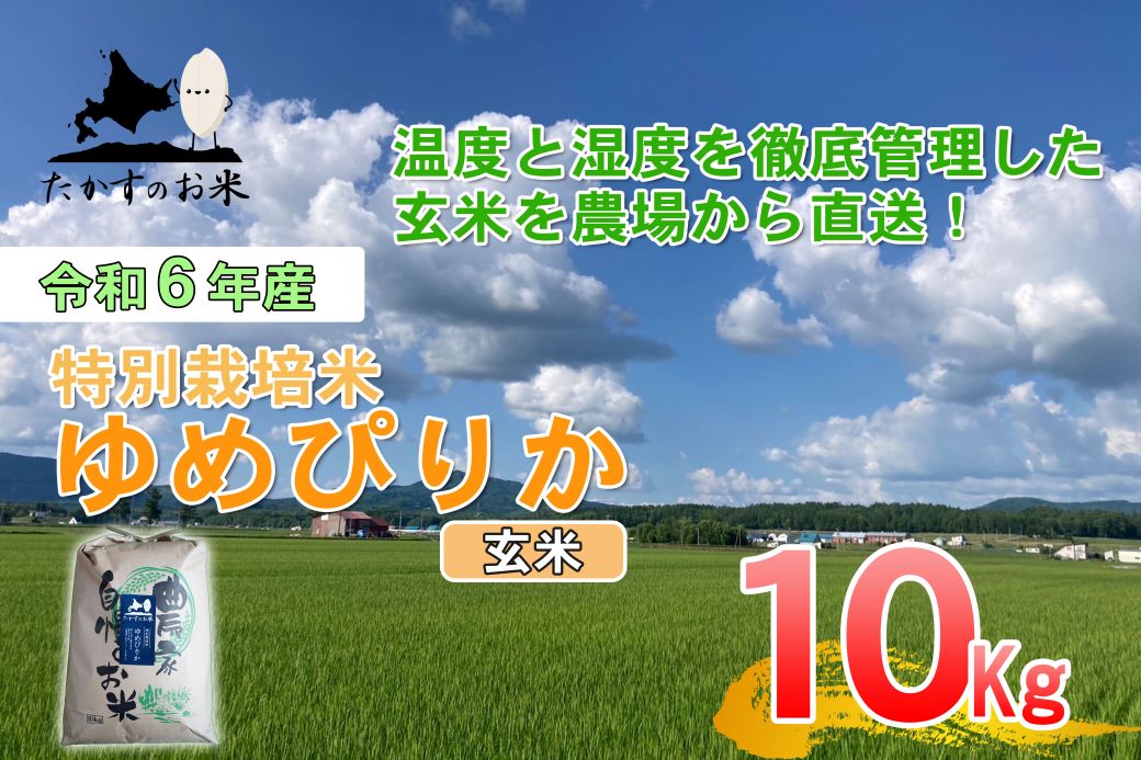 A222【 令和6年産 】 ゆめぴりか （ 玄米 ） 特Aランク 北海道 米 を代表する人気の品種 10㎏ 北海道 鷹栖町 たかすのお米 米 コメ こめ ご飯 玄米 お米 ゆめぴりか コメ 玄米