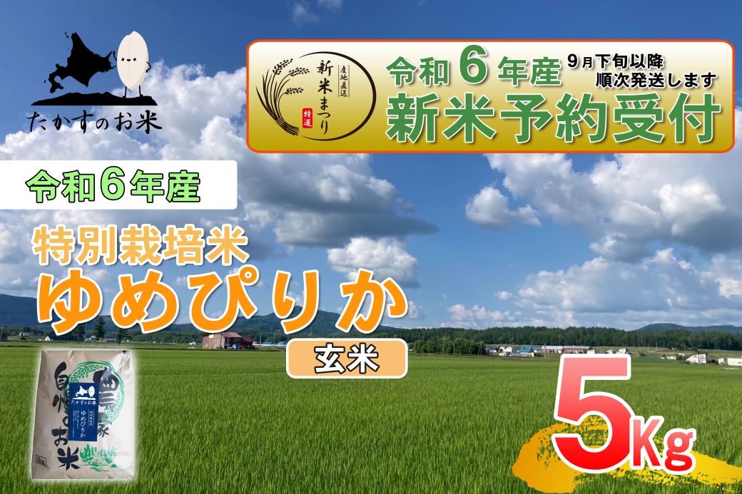 A219 　【新米予約】令和６年産北海道米を代表する人気の品種「ゆめぴりか」（玄米・5kg）