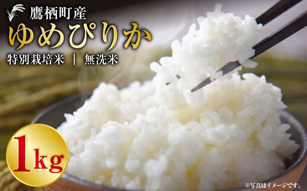 ゆめぴりか（無洗米）1kg 【令和7年産】 お米 白米 ご飯 無洗米 ゆめぴりか 常温 北海道 鷹栖町