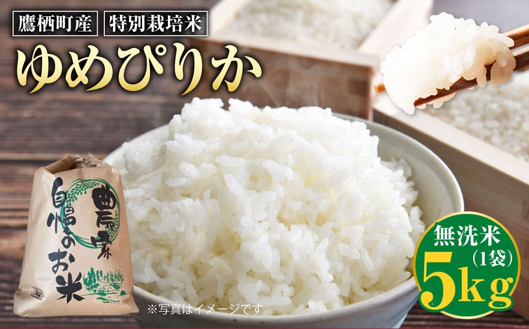 【令和7年産】ゆめぴりか（無洗米） 5kg 北海道 鷹栖町 たかすのおむすび 米 コメ ご飯 無洗米 お米 ゆめぴりか 【2025年9月下旬より発送予定】