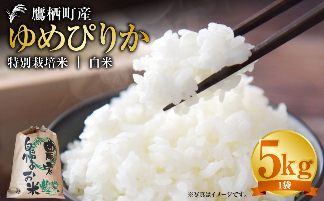 【令和7年産】 ゆめぴりか （白米） 5kg 北海道 鷹栖町 たかすタロファーム 米 コメ こめ ご飯 白米 お米 ゆめぴりか コメ 白米