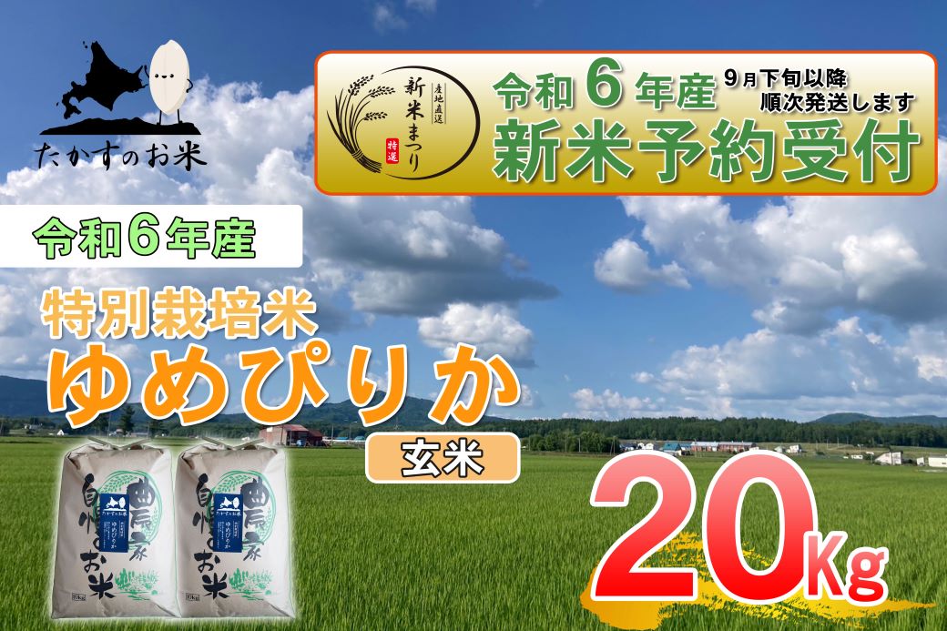 A225　【新米予約】令和６年産北海道米を代表する人気の品種「ゆめぴりか」（玄米・20kg）