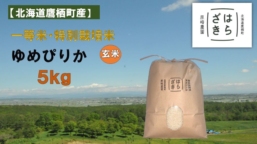 A270【令和６年産】一等米・特別栽培米 ５kg【ゆめぴりか玄米】５kg×１（農薬７割減）北海道 鷹栖町 原崎農園 