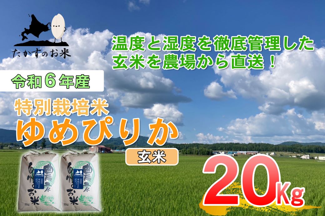 A225【 令和6年産 】 ゆめぴりか （ 玄米 ） 特Aランク 北海道 米 を代表する人気の品種 10㎏×2袋 20㎏ 北海道 鷹栖町 たかすのお米 米 コメ こめ ご飯 玄米 お米 ゆめぴりか コメ 玄米