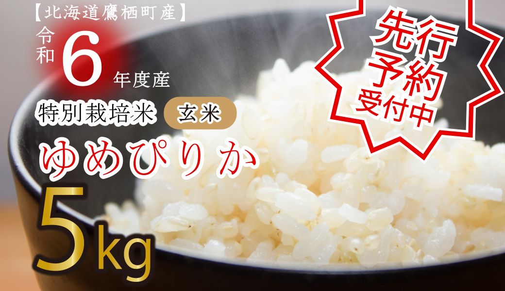 A196 　先行予約 【 令和6年産 】 ゆめぴりか （ 玄米 ） 特Aランク 5㎏ 北海道 鷹栖町 たかすタロファーム 米 コメ こめ ご飯 玄米 お米 ゆめぴりか コメ 玄米 玄米 玄米 玄米 玄米 玄米 玄米 玄米 玄米 玄米 玄米 玄米 玄米 玄米 玄米 玄米 玄米 玄米 玄米 玄米 玄米 玄米 玄米 玄米 玄米 玄米 玄米 玄米 玄米 玄米 玄米 玄米 玄米 玄米 玄米 玄米 玄米 玄米 玄米 玄米 玄米 玄米 玄米 玄米 玄米 玄米 玄米 玄米 玄米 玄米 玄米 玄米 玄米 玄米 玄米 