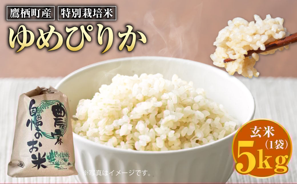 【令和7年産】ゆめぴりか（玄米） 5kg 北海道 鷹栖町 たかすのおむすび 米 コメ ご飯 玄米 お米 ゆめぴりか 【2025年9月下旬より発送予定】