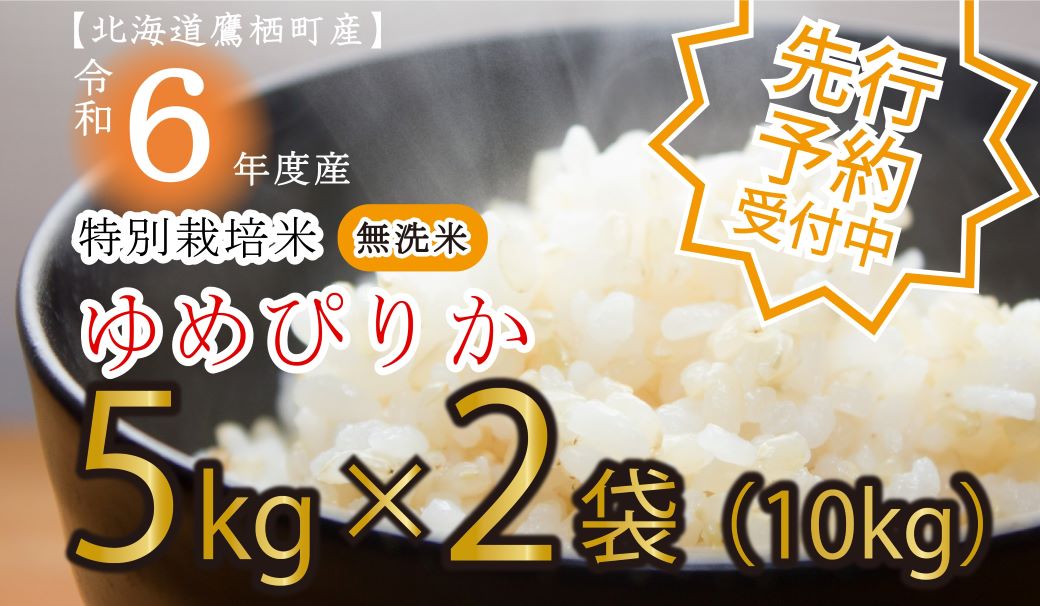 A195　【先行予約】令和６年産たかすタロファームゆめぴりか（ゆめぴりか無洗米・5kg×２袋）