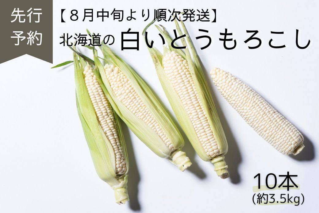 A134【先行予約】夏限定お届け！フルーティな甘み！ロイシーコーン【北海道の白いとうもろこし】 （10本セット）北海道 鷹栖町 原崎農園