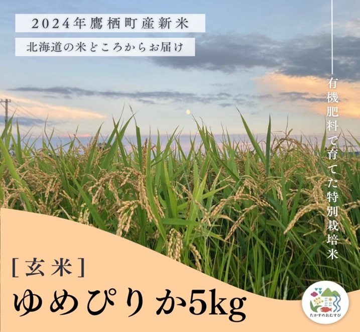 A258【令和６年産】ゆめぴりか（玄米）特Aランク 5kg 北海道 鷹栖町 たかすのおむすび 米 コメ ご飯 玄米 お米 ゆめぴりか