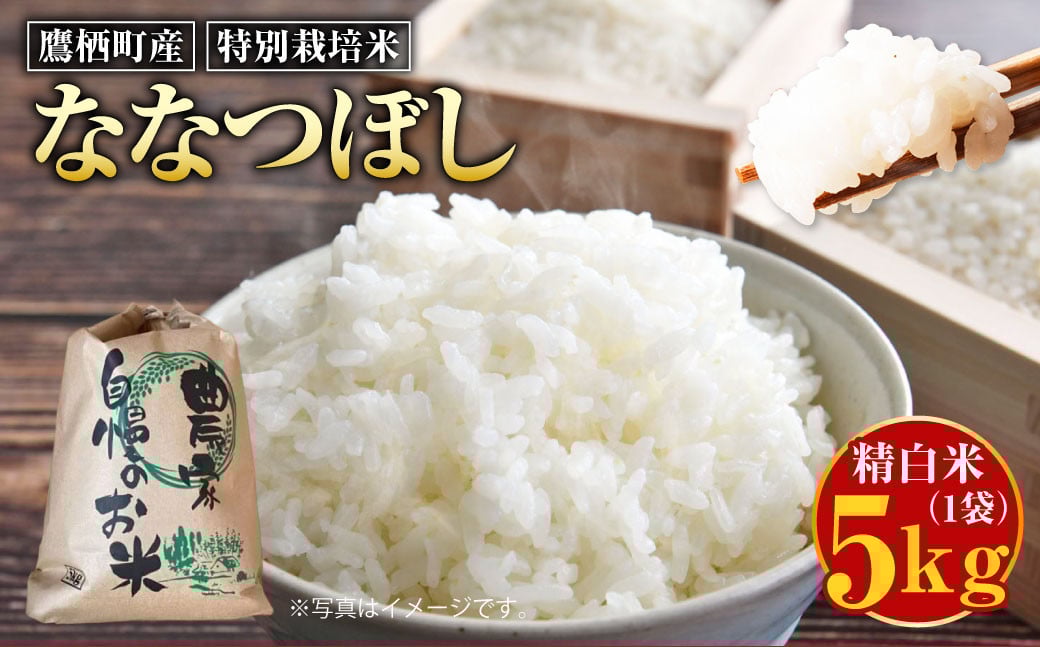 【令和7年産】ななつぼし（精白米） 5kg 北海道 鷹栖町 たかすのおむすび 米 コメ ご飯 精 白米 お米 ななつぼし 【2025年9月下旬より発送予定】