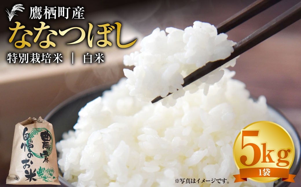 【令和7年産】 ななつぼし （白米） 5kg 北海道 鷹栖町 たかすタロファーム 米 コメ こめ ご飯 白米 お米 ななつぼし コメ 白米