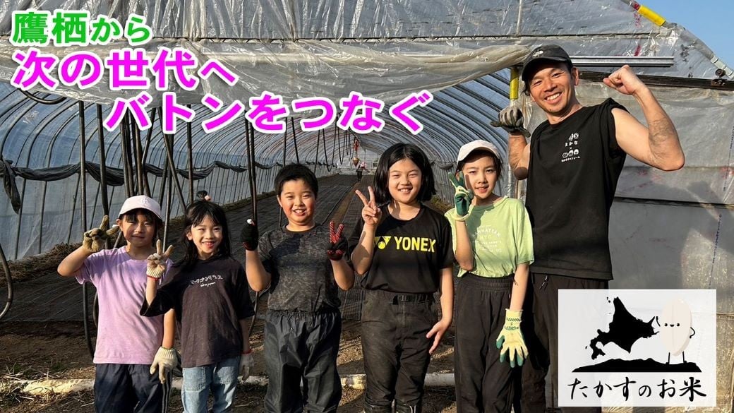 【令和7年産】 ゆめぴりか (精白米) 北海道 米 を代表する人気の品種 5kg 北海道 鷹栖町 たかすのお米 米 コメ こめ ご飯