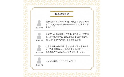 【令和7年産】 ななつぼし （ 白米 ） 5kg×2袋 合計10kg お米 米 こめ コメ 精白米 精米 ブランド米 特A 特Aランク 単一原料米 ごはん ご飯 ライス 産地直送 米どころ 北海道産 国産 北海道 鷹栖町 