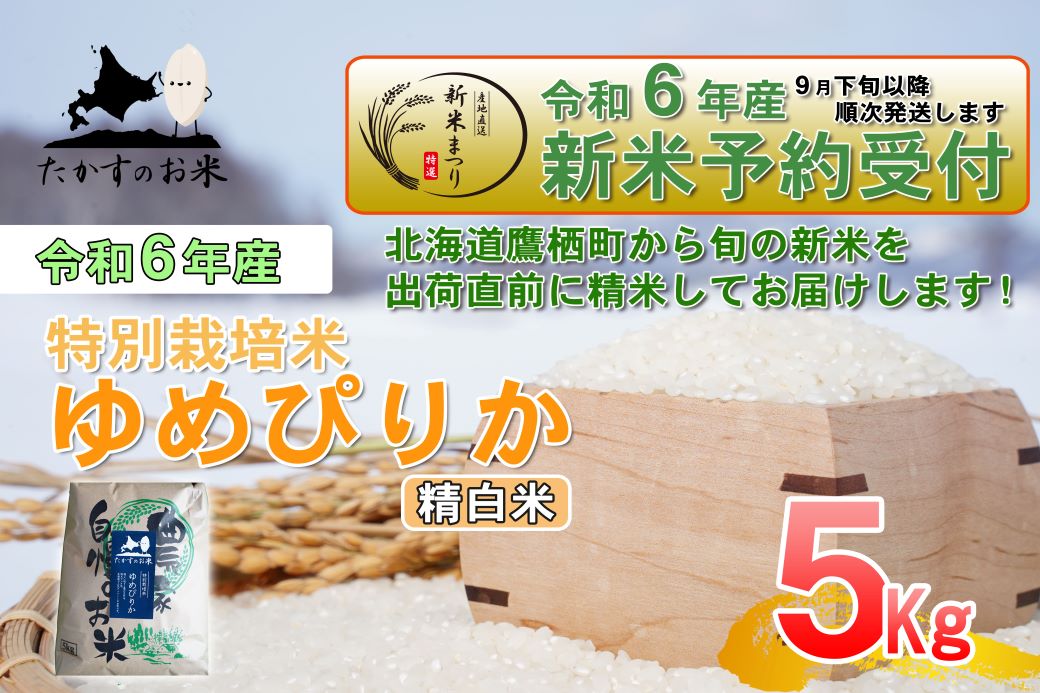 A217 　【新米予約】令和６年産北海道米を代表する人気の品種「ゆめぴりか」（精白米・5kg）