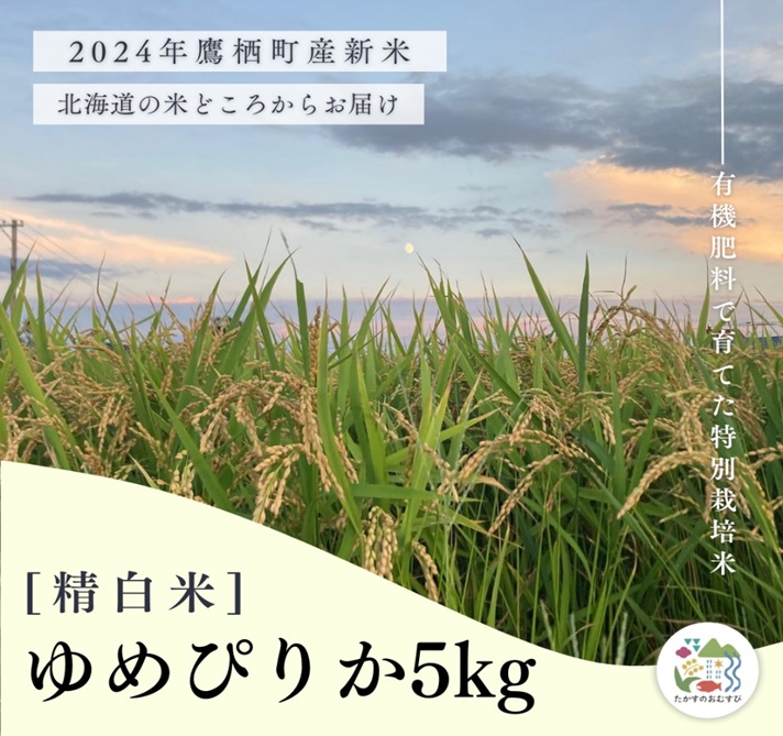 A252【令和６年産】ゆめぴりか（精白米）特Aランク 5kg 北海道 鷹栖町 たかすのおむすび 米 コメ ご飯 精 白米 お米 ゆめぴりか