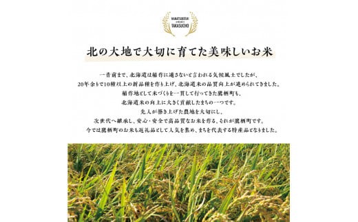 【令和7年産】 ななつぼし （ 白米 ） 5kg×2袋 合計10kg お米 米 こめ コメ 精白米 精米 ブランド米 特A 特Aランク 単一原料米 ごはん ご飯 ライス 産地直送 米どころ 北海道産 国産 北海道 鷹栖町 