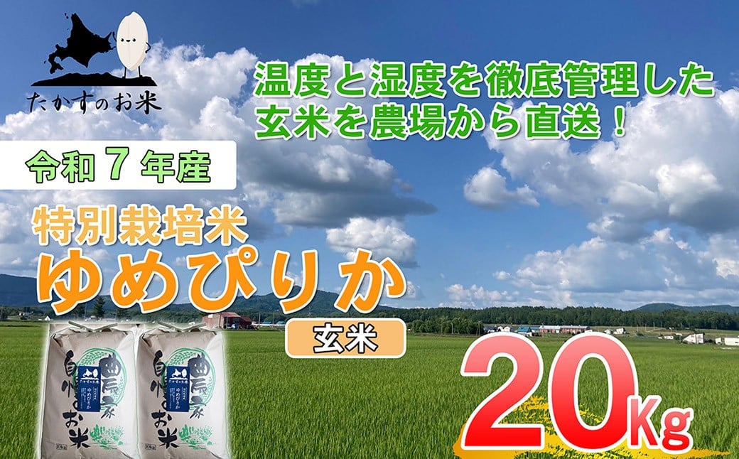 【令和7年産】 ゆめぴりか （玄米） 北海道 米 を代表する人気の品種 10kg×2袋 20kg 北海道 鷹栖町 たかすのお米 米 コメ こめ ご飯
