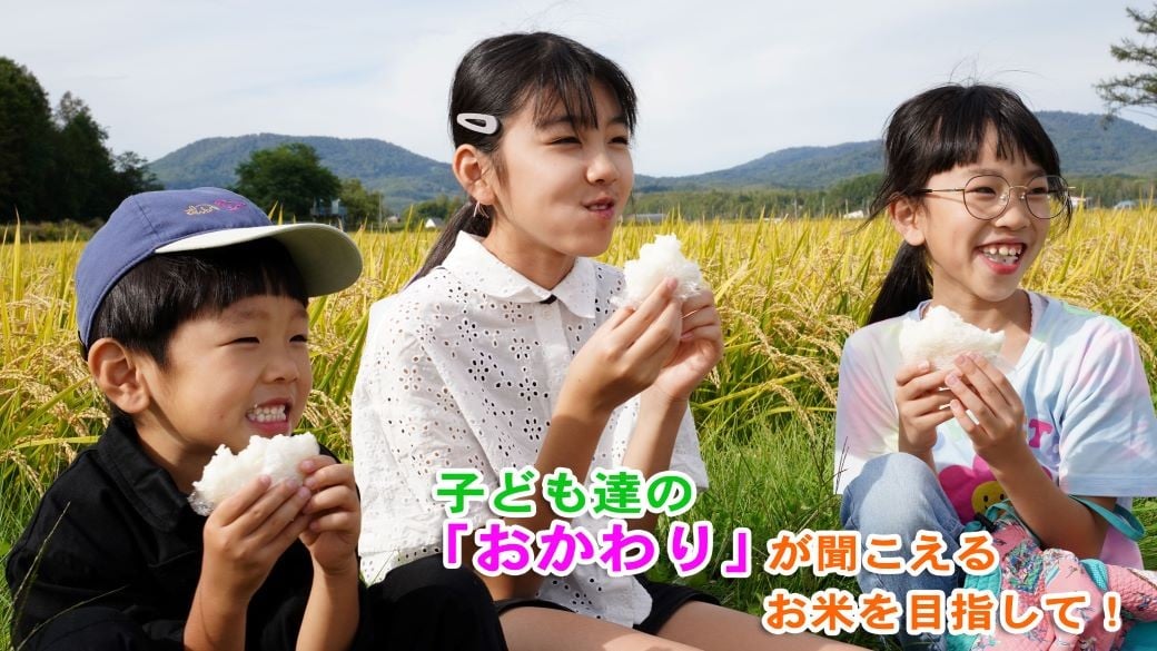 【 令和7年産 】 ななつぼし （ 無洗米 ） 北海道 米 定番の品種 10kg 北海道 鷹栖町 たかすのお米 コメ こめ ご飯