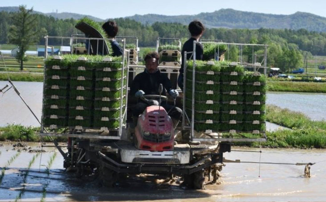 【令和7年産】ななつぼし（無洗米） 5kg 北海道 鷹栖町 たかすのおむすび 米 コメ ご飯 無洗米 お米 ななつぼし 【2025年9月下旬より発送予定】