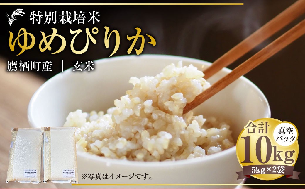 【令和7年産】 ゆめぴりか （玄米） 真空パック 5kg×2袋 10kg 北海道 鷹栖町 たかすタロファーム 米 コメ こめ ご飯 玄米 お米 ゆめぴりか コメ 玄米