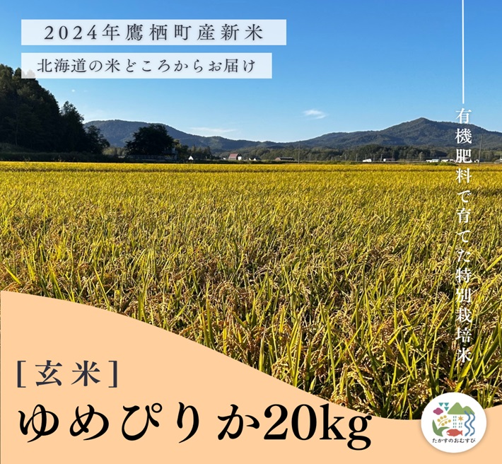 A260【令和６年産】ゆめぴりか（玄米）特Aランク 10kg×2袋 20kg 北海道 鷹栖町 たかすのおむすび 米 コメ ご飯 玄米 お米 ゆめぴりか