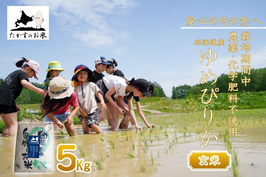 【 令和7年産 】 栽培期間中農薬不使用 ゆめぴりか （ 玄米 ） 5kg 北海道 鷹栖町 たかすのお米 コメ こめ ご飯