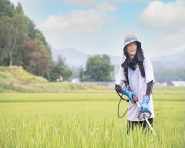 A211 　【 令和6年産 】 ゆめぴりか （ 白米 ） 特Aランク 真空パック  10㎏ 北海道 鷹栖町 SANOSUKE FARM＠たかす 特別栽培 米 コメ こめ ご飯 白米 お米 ゆめぴりか コメ 白米