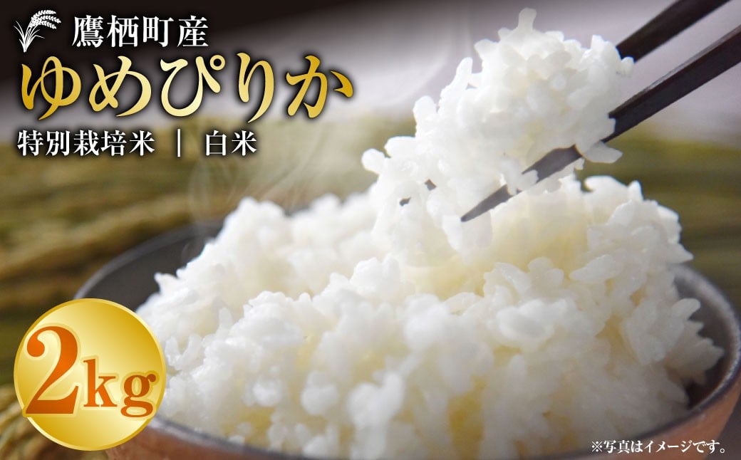 ゆめぴりか（白米）2kg 【令和7年産】 お米 白米 ご飯 ごはん ゆめぴりか 北海道 鷹栖町