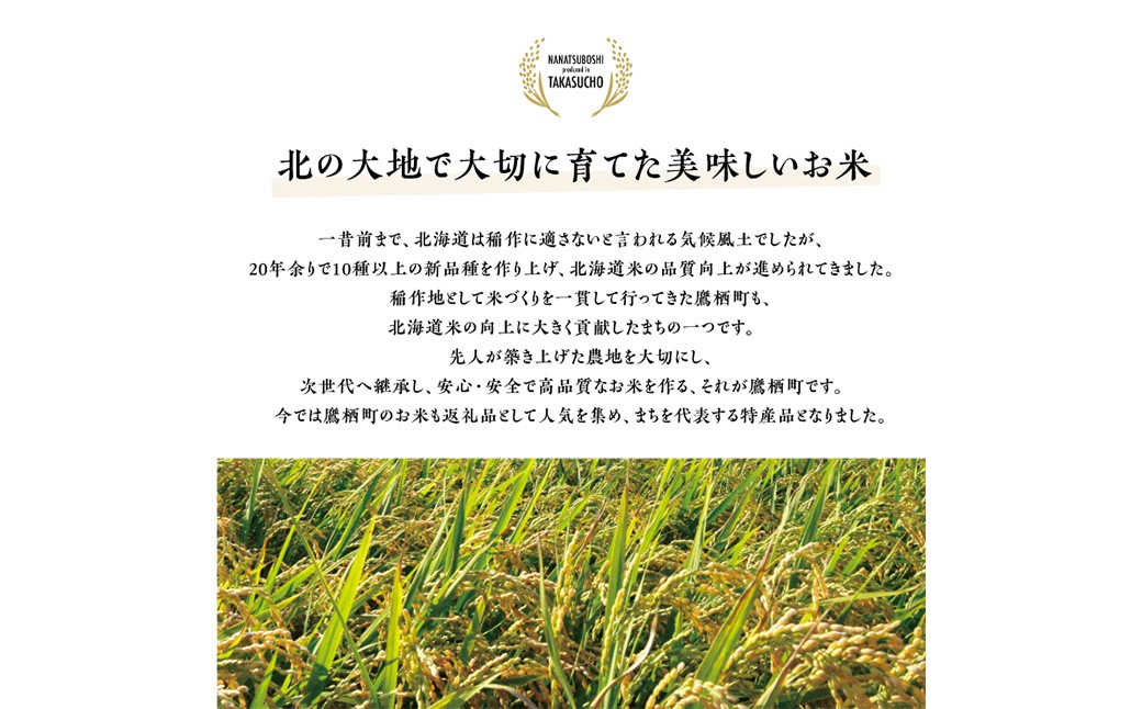 【令和7年産】 ななつぼし （白米） 5kg×1袋 ／ 米 コメ こめ ご飯 お米 ライス 北海道 鷹栖町 送料無料