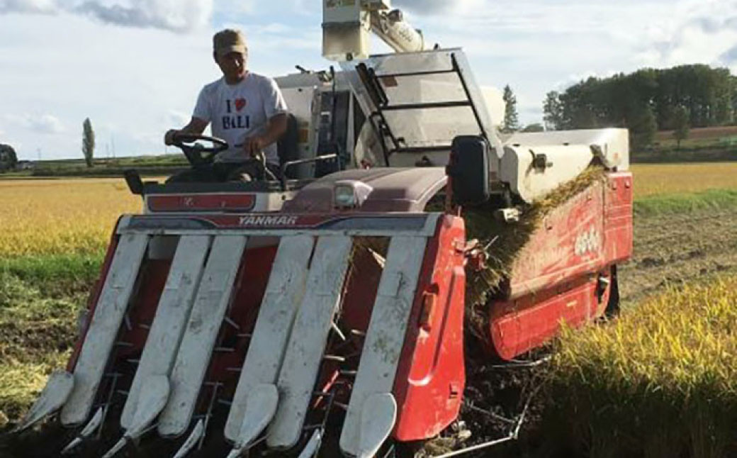 【令和7年産】 ゆめぴりか （玄米） 5kg×2袋 北海道 鷹栖町 たかすタロファーム 米 コメ こめ ご飯 玄米 お米 ゆめぴりか コメ 玄米