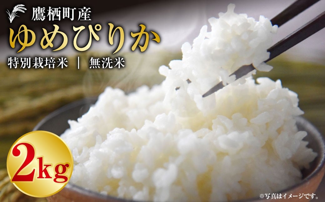 ゆめぴりか（無洗米）2kg 【令和7年産】 お米 白米 ご飯 無洗米 ゆめぴりか 常温 北海道 鷹栖町