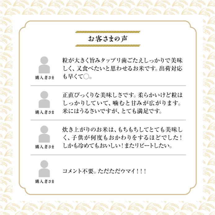 F003 6ヶ月定期便  【 令和６年産 】 ななつぼし （ 白米 ）5kg 特Aランク 北海道 鷹栖町 米 コメ こめ ご飯 白米 お米 ななつぼし コメ 白米