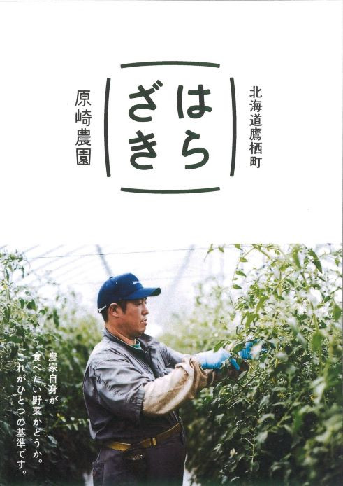 A134 【先行予約】夏限定お届け!フルーティな甘み!ロイシーコーン【北海道の白いとうもろこし】（10本セット）北海道 鷹栖町 原崎農園