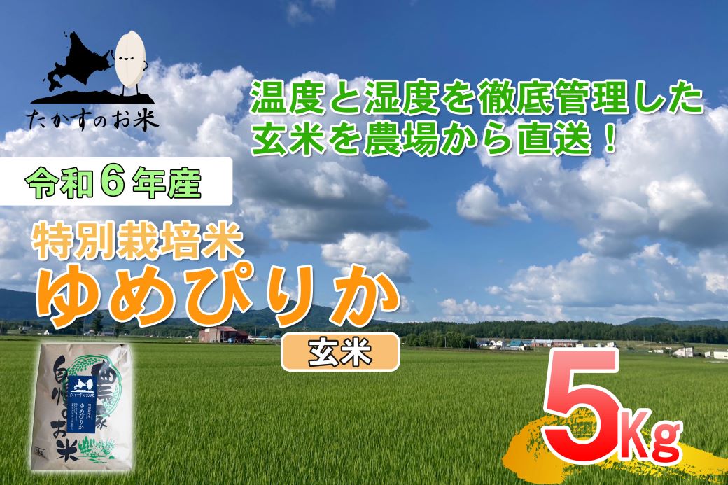 A219 【 令和6年産 】 ゆめぴりか （ 玄米 ） 特Aランク 北海道 米 を代表する人気の品種 5㎏ 北海道 鷹栖町 たかすのお米 米 コメ こめ ご飯 玄米 お米 ゆめぴりか コメ 玄米