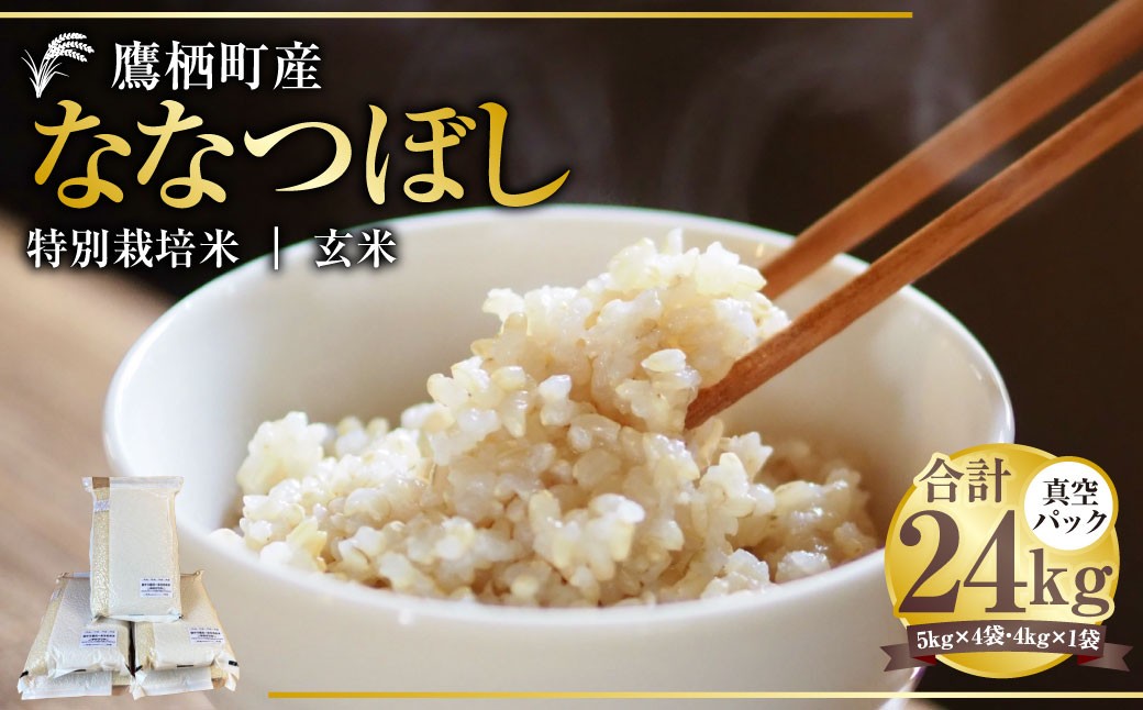 【令和7年産】 ななつぼし （玄米） 真空パック 24kg 北海道 鷹栖町 たかすタロファーム 米 コメ こめ ご飯 玄米 お米 ななつぼし コメ 玄米