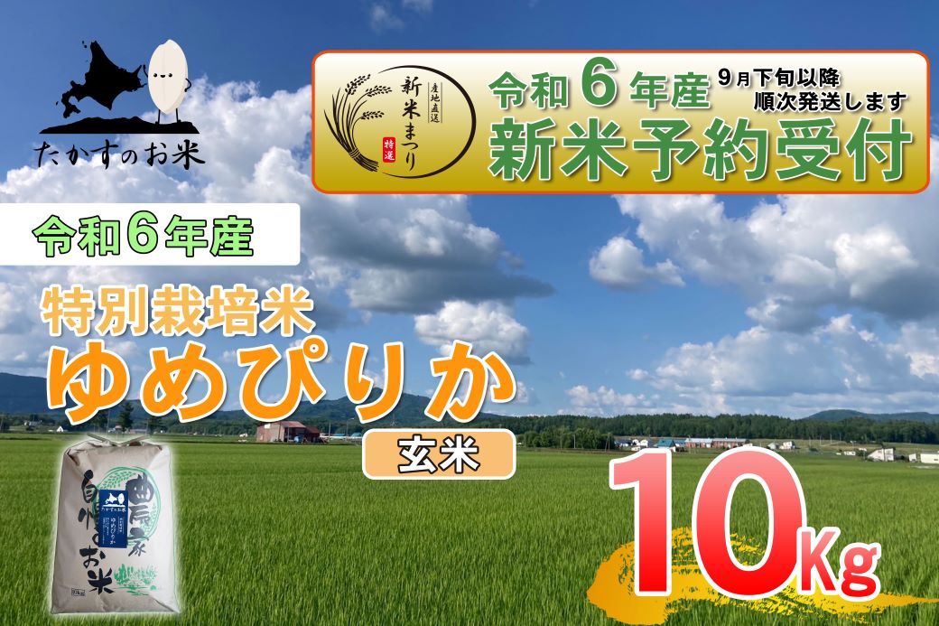 A222　【新米予約】令和６年産北海道米を代表する人気の品種「ゆめぴりか」（玄米・10kg）