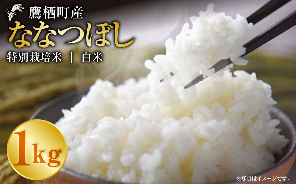 【令和7年産】 ななつぼし（白米） 1kg お米 米 コメ 精米 白米 精白米 主食 ご飯 ごはん  白ご飯 常温 北海道 鷹栖町